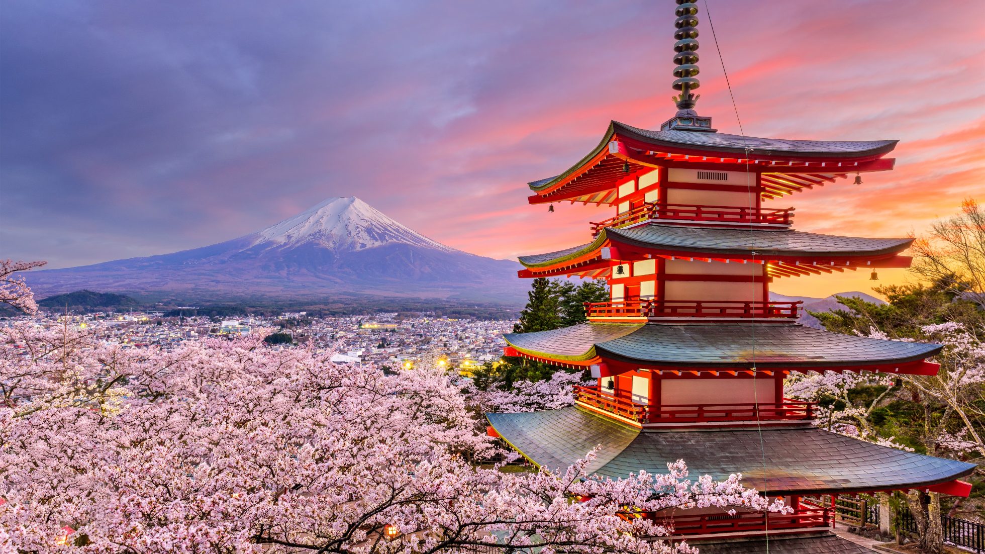 Japan tour